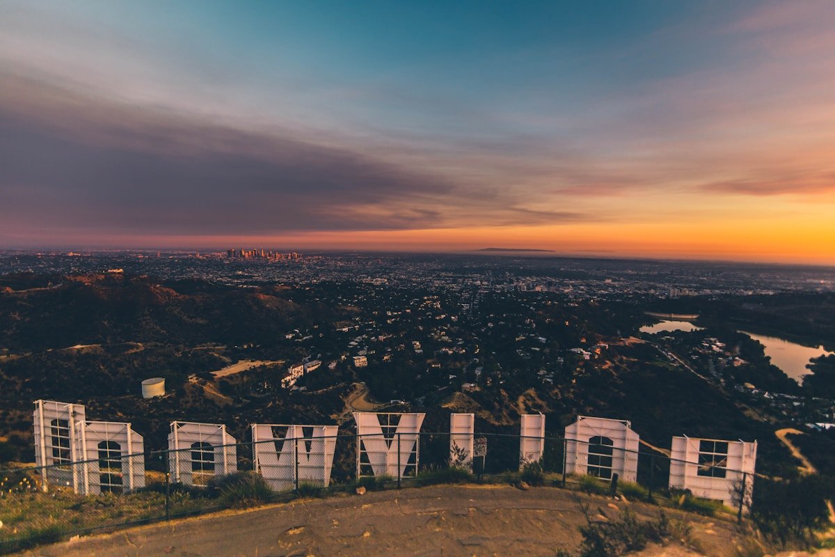 Los Angeles skyline and palms